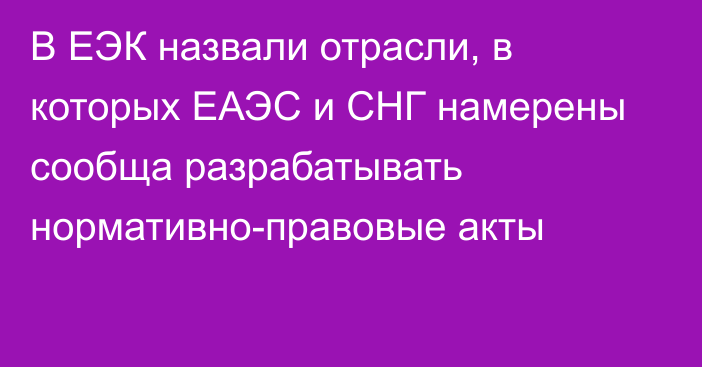 В ЕЭК назвали отрасли, в которых ЕАЭС и СНГ намерены сообща разрабатывать нормативно-правовые акты