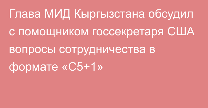 Глава МИД Кыргызстана обсудил с помощником госсекретаря США вопросы сотрудничества в формате «С5+1»