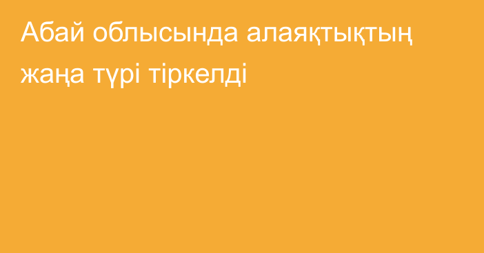 Абай облысында алаяқтықтың жаңа түрі тіркелді