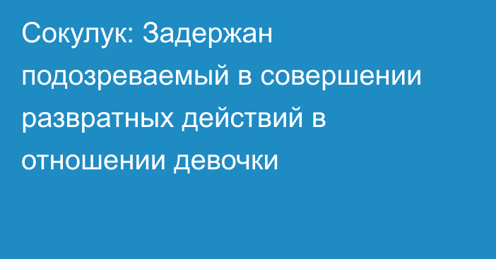 Сокулук: Задержан подозреваемый в совершении развратных действий в отношении девочки