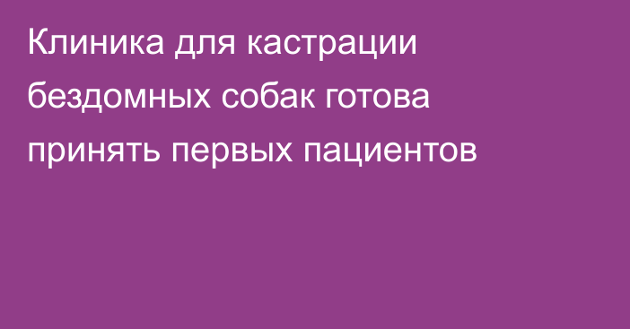 Клиника для кастрации бездомных собак готова принять первых пациентов