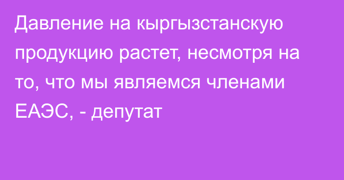 Давление на кыргызстанскую продукцию растет, несмотря на то, что мы являемся членами ЕАЭС, - депутат