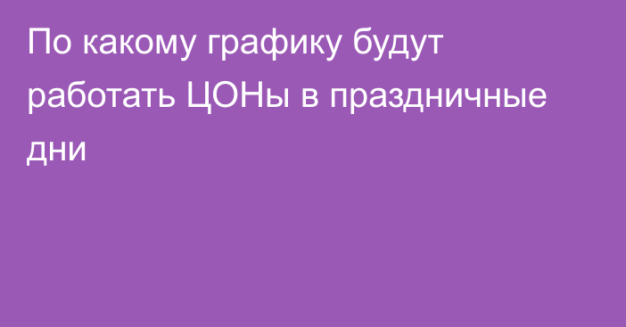 По какому графику будут работать ЦОНы в праздничные дни