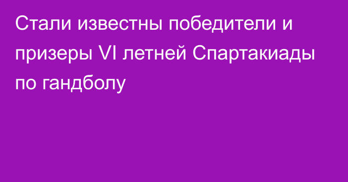 Стали известны победители и призеры VI летней Спартакиады по гандболу