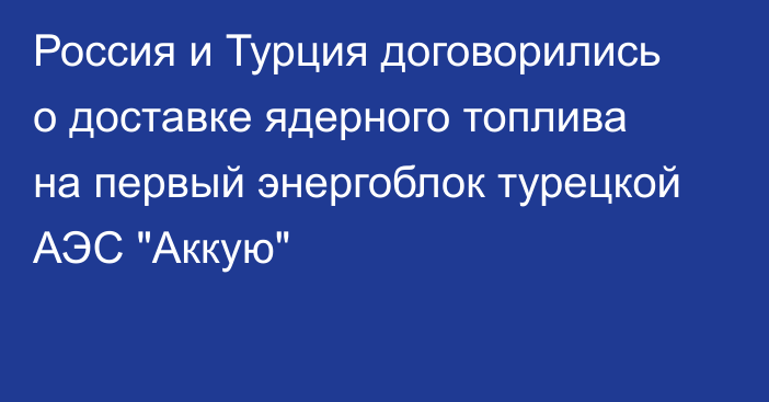 Россия и Турция договорились о доставке ядерного топлива на первый энергоблок турецкой АЭС 