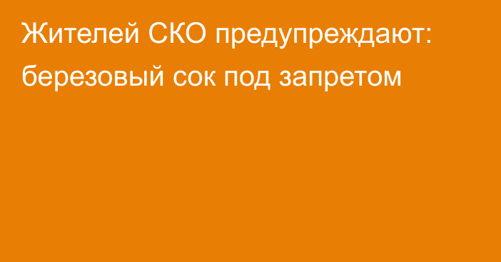 Жителей СКО предупреждают: березовый сок под запретом