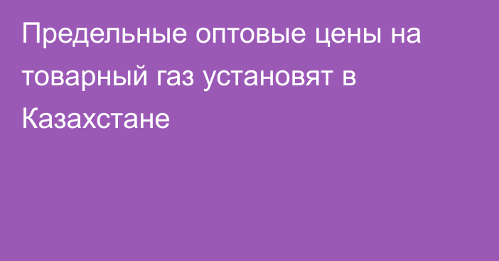 Предельные оптовые цены на товарный газ  установят в Казахстане