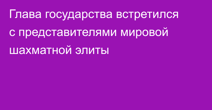 Глава государства встретился с представителями мировой шахматной элиты