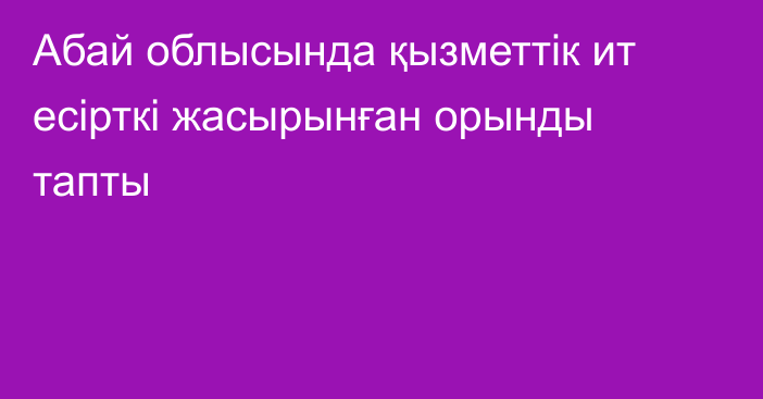 Абай облысында қызметтік ит есірткі жасырынған орынды тапты