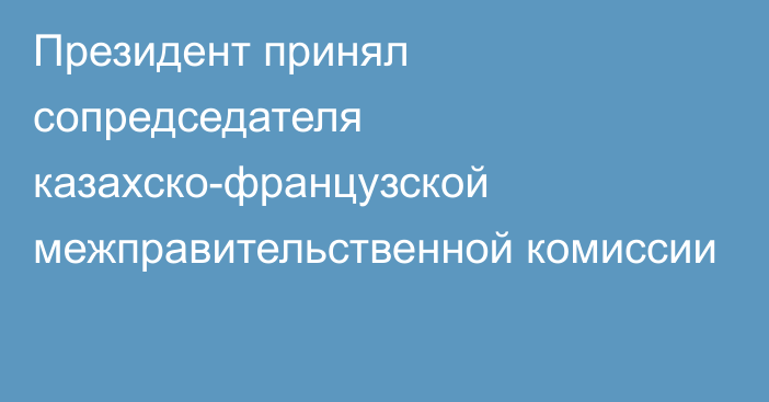 Президент принял сопредседателя казахско-французской межправительственной комиссии