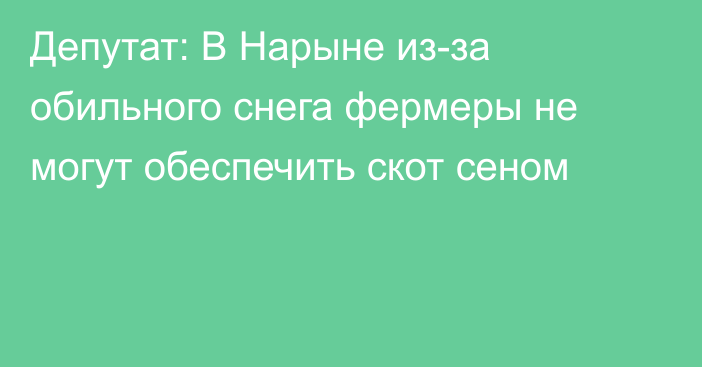 Депутат: В Нарыне из-за обильного снега фермеры не могут обеспечить скот сеном