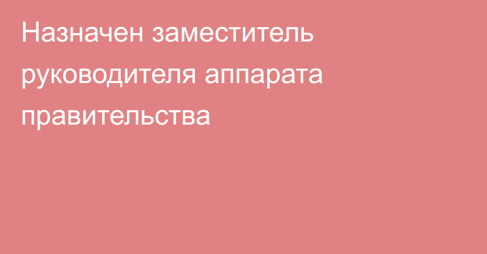 Назначен заместитель руководителя аппарата правительства