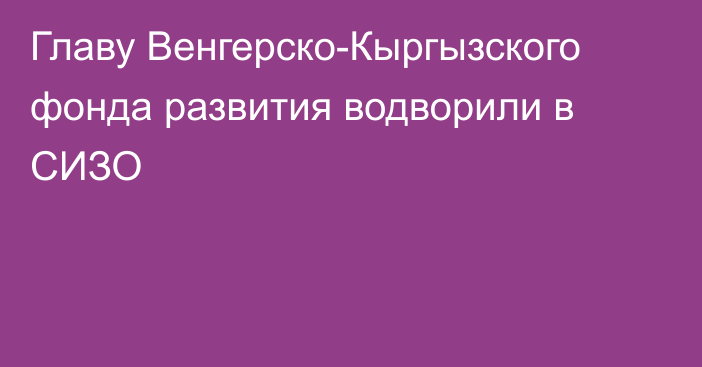 Главу Венгерско-Кыргызского фонда развития водворили в СИЗО