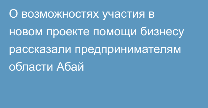 О возможностях участия в новом проекте помощи бизнесу рассказали предпринимателям области Абай