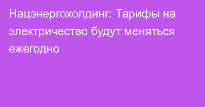 Нацэнергохолдинг: Тарифы на электричество будут меняться ежегодно