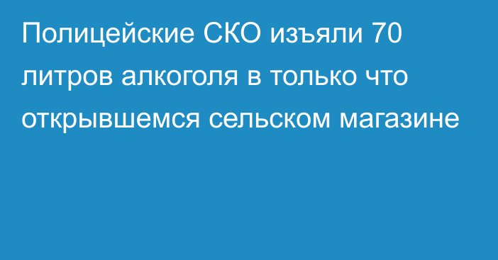 Полицейские СКО изъяли 70 литров алкоголя в только что открывшемся сельском магазине