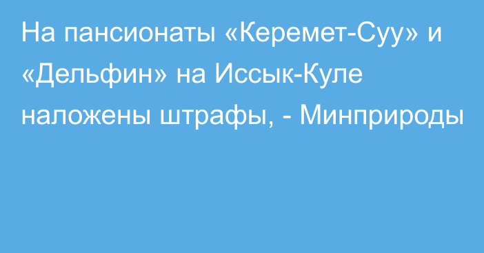 На пансионаты «Керемет-Суу» и «Дельфин» на Иссык-Куле наложены штрафы, - Минприроды