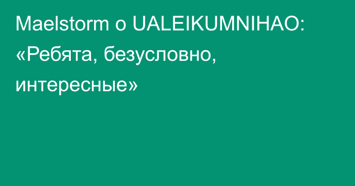 Maelstorm о UALEIKUMNIHAO: «Ребята, безусловно, интересные»