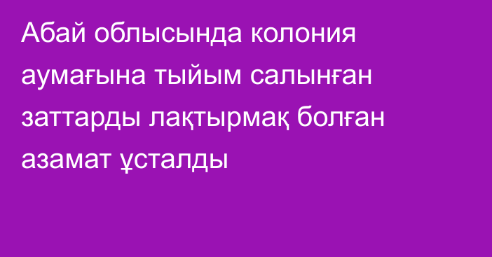 Абай облысында колония аумағына тыйым салынған заттарды лақтырмақ болған азамат ұсталды