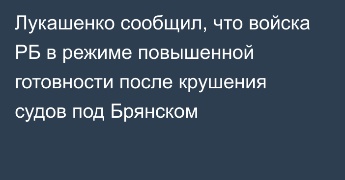 Лукашенко сообщил, что войска РБ в режиме повышенной готовности после крушения судов под Брянском