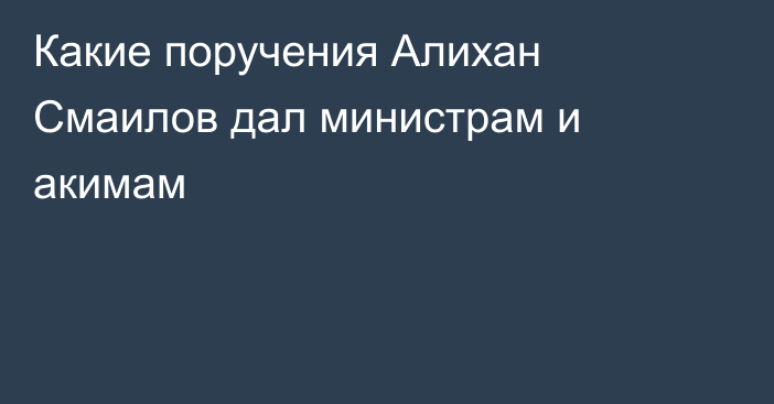 Какие поручения Алихан Смаилов дал министрам и акимам