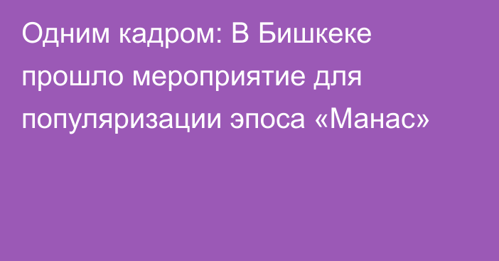 Одним кадром: В Бишкеке прошло мероприятие для популяризации эпоса «Манас»