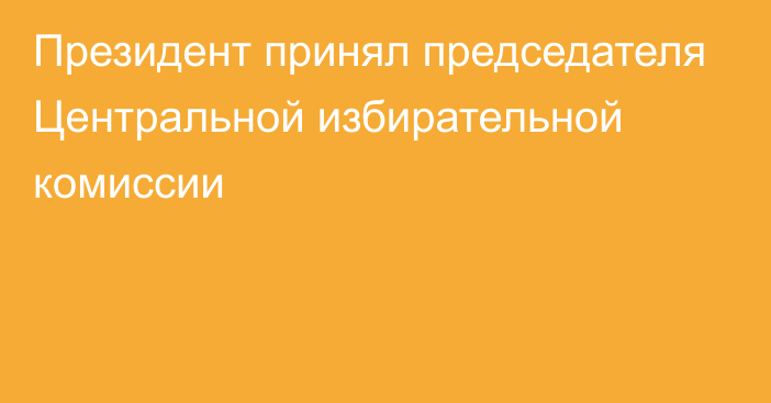 Президент принял председателя Центральной избирательной комиссии