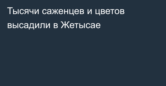 Тысячи саженцев и цветов высадили в Жетысае