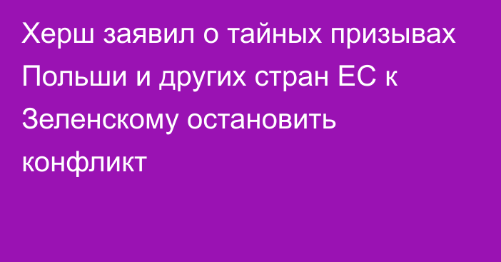 Херш заявил о тайных призывах Польши и других стран ЕС к Зеленскому остановить конфликт