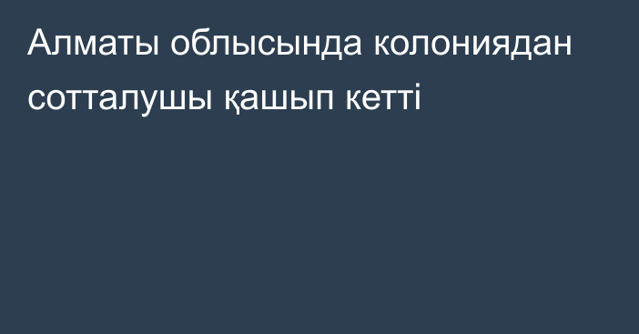 Алматы облысында колониядан сотталушы қашып кетті