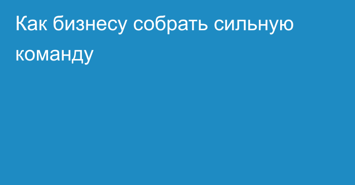 Как бизнесу собрать сильную команду