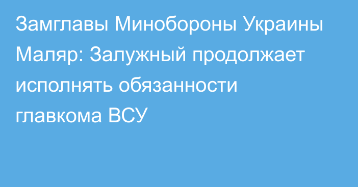 Замглавы Минобороны Украины Маляр: Залужный продолжает исполнять обязанности главкома ВСУ