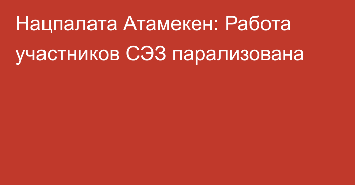 Нацпалата Атамекен: Работа участников СЭЗ парализована