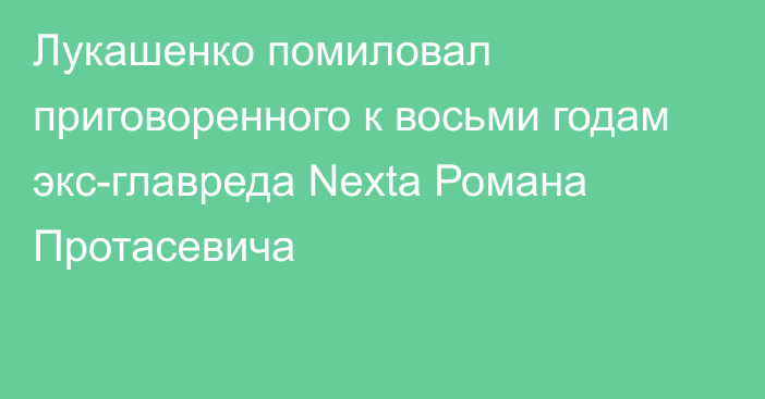 Лукашенко помиловал приговоренного к восьми годам экс-главреда Nexta Романа Протасевича