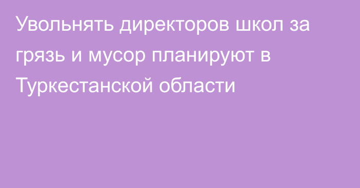 Увольнять директоров школ за грязь и мусор планируют в Туркестанской области