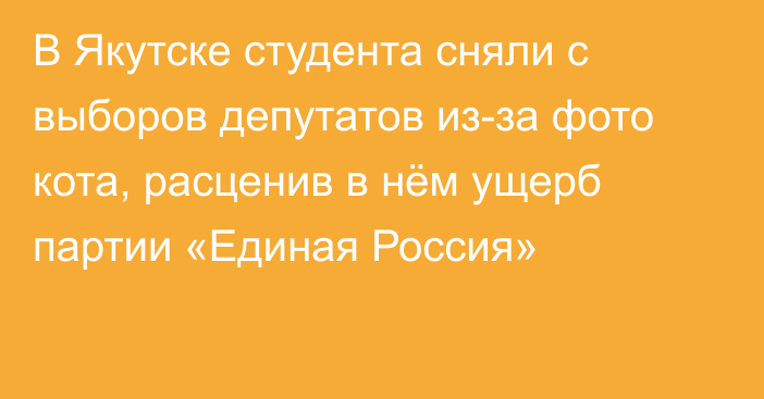 В Якутске студента сняли с выборов депутатов из-за фото кота, расценив в нём ущерб партии «Единая Россия»