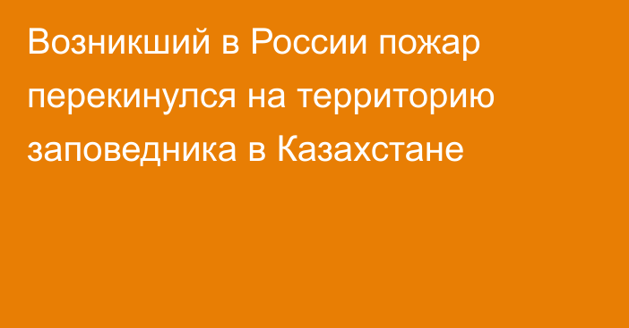 Возникший в России пожар перекинулся на территорию заповедника в Казахстане