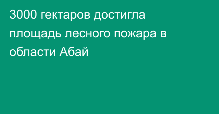 3000 гектаров достигла площадь лесного пожара в области Абай