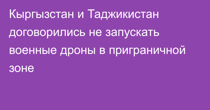 Кыргызстан и Таджикистан договорились не запускать военные дроны в приграничной зоне