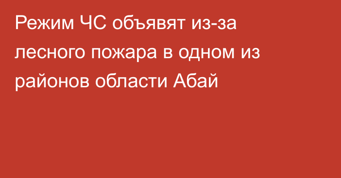 Режим ЧС объявят из-за лесного пожара в одном из районов области Абай