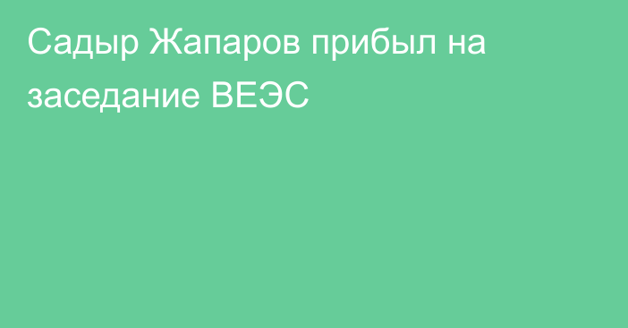 Садыр Жапаров прибыл на заседание ВЕЭС