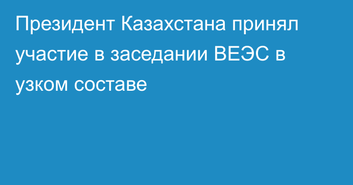 Президент Казахстана принял участие в заседании ВЕЭС в узком составе