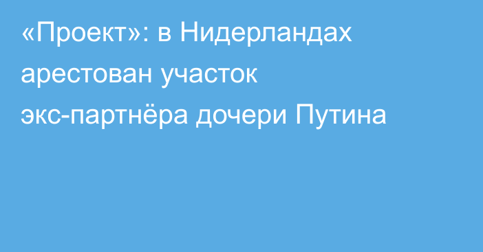 «Проект»: в Нидерландах арестован участок экс-партнёра дочери Путина