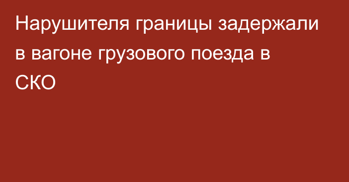 Нарушителя границы задержали в вагоне грузового поезда в СКО