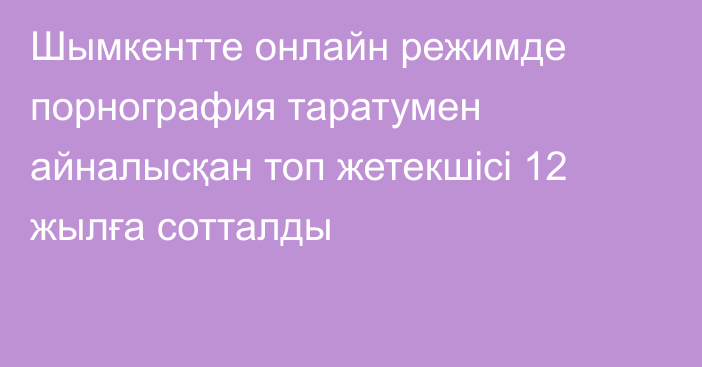 Шымкентте онлайн режимде порнография таратумен айналысқан топ жетекшісі 12 жылға сотталды