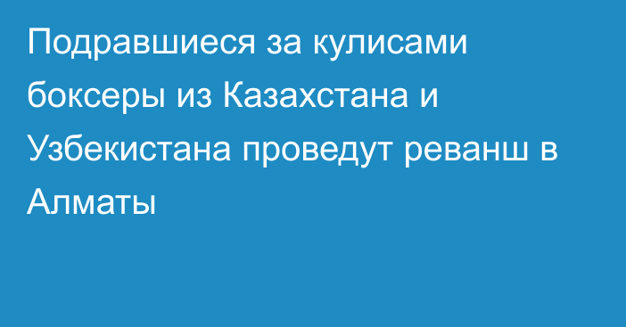 Подравшиеся за кулисами боксеры из Казахстана и Узбекистана проведут реванш в Алматы