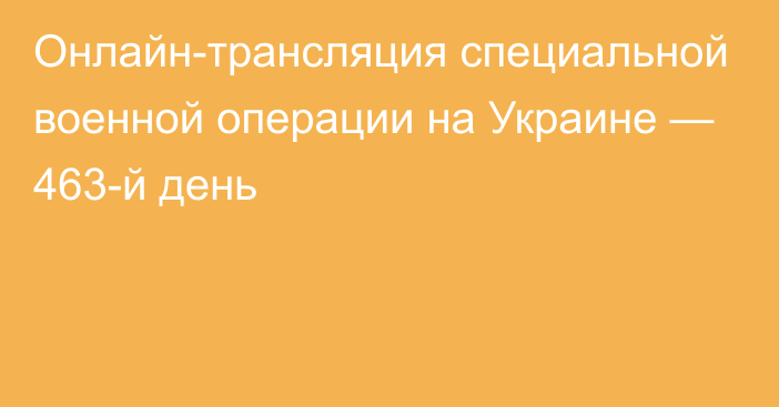 Онлайн-трансляция специальной военной операции на Украине — 463-й день