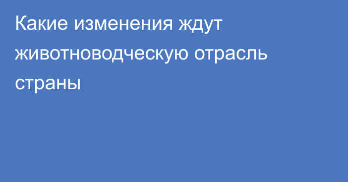 Какие изменения ждут животноводческую отрасль страны