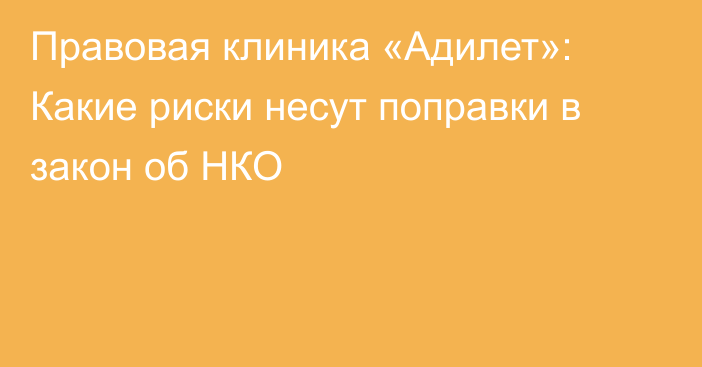 Правовая клиника «Адилет»: Какие риски несут поправки в закон об НКО