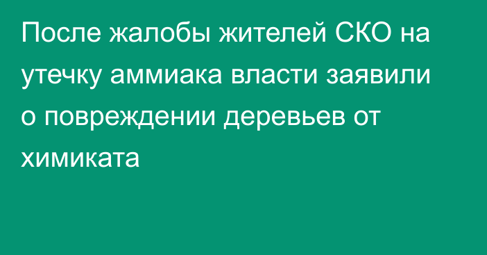 После жалобы жителей СКО на утечку аммиака власти заявили о повреждении деревьев от химиката